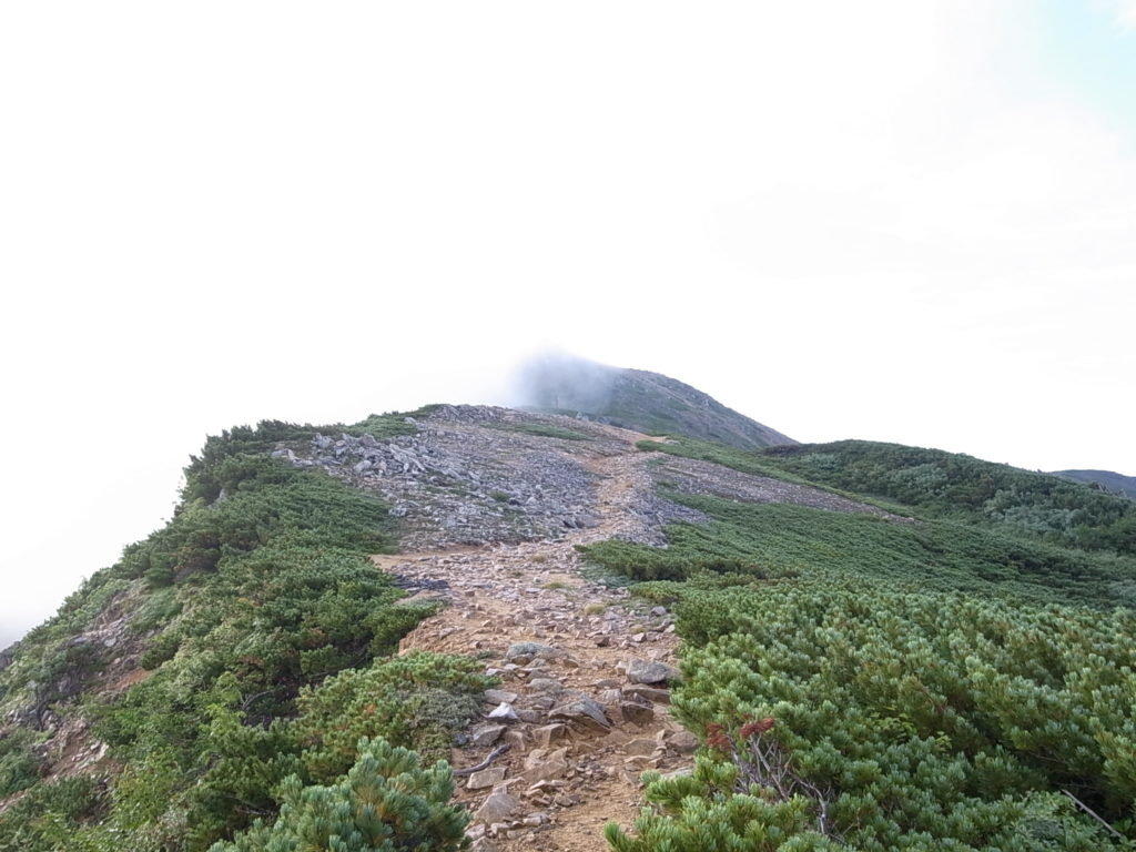 東天井岳への道